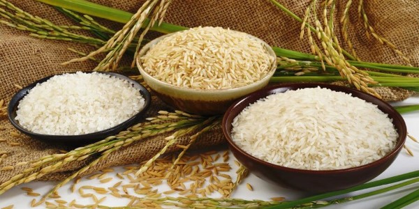 تصویر 5 از خرید و قیمت برنج شمال هاشمی + فروش صادراتی